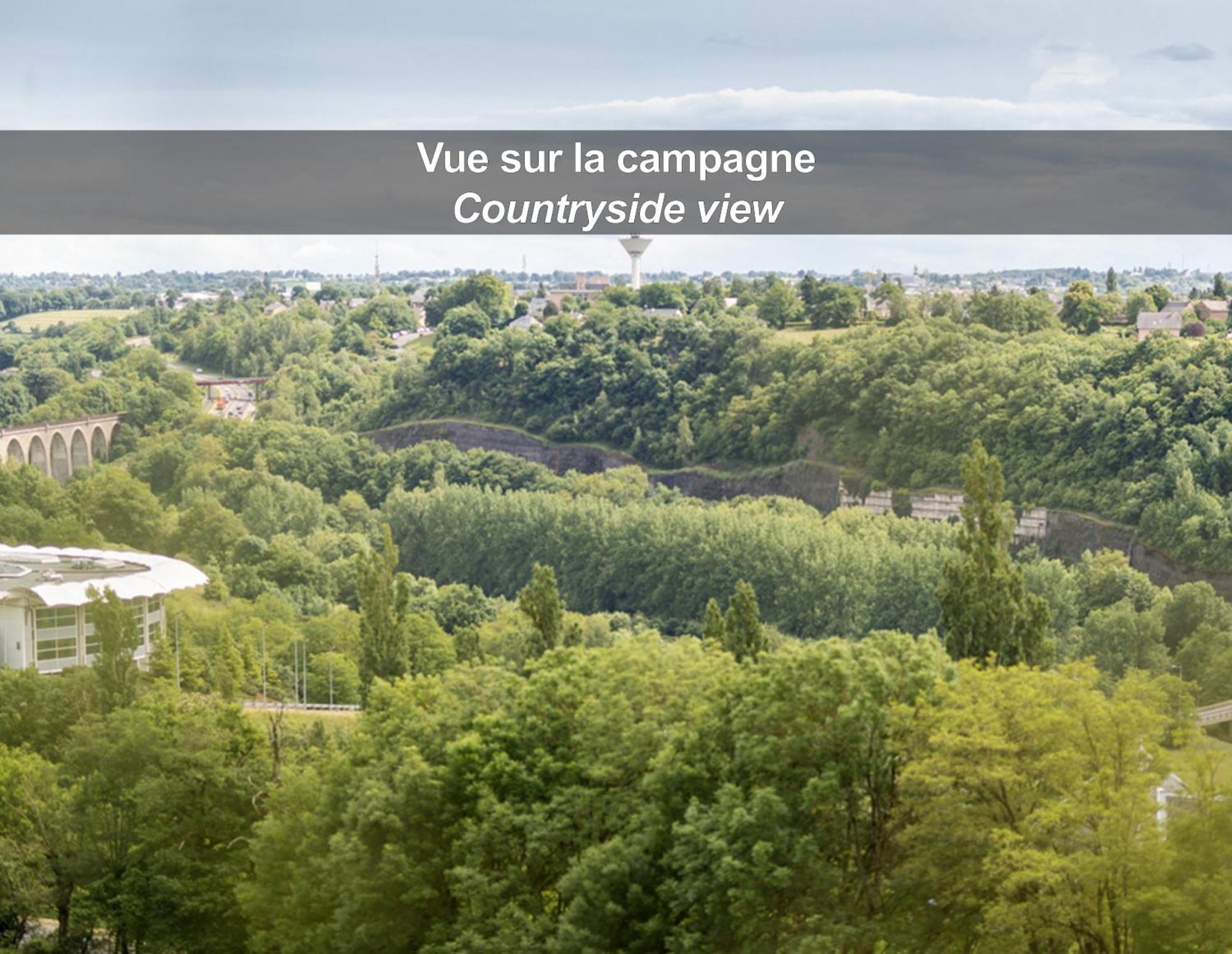 Hotel La Ferme De Bourran Rodez - Parking Prive Gratuit Екстериор снимка